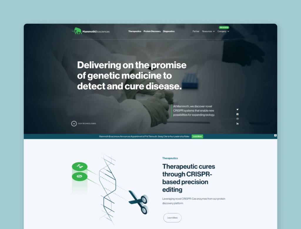 web-design-1