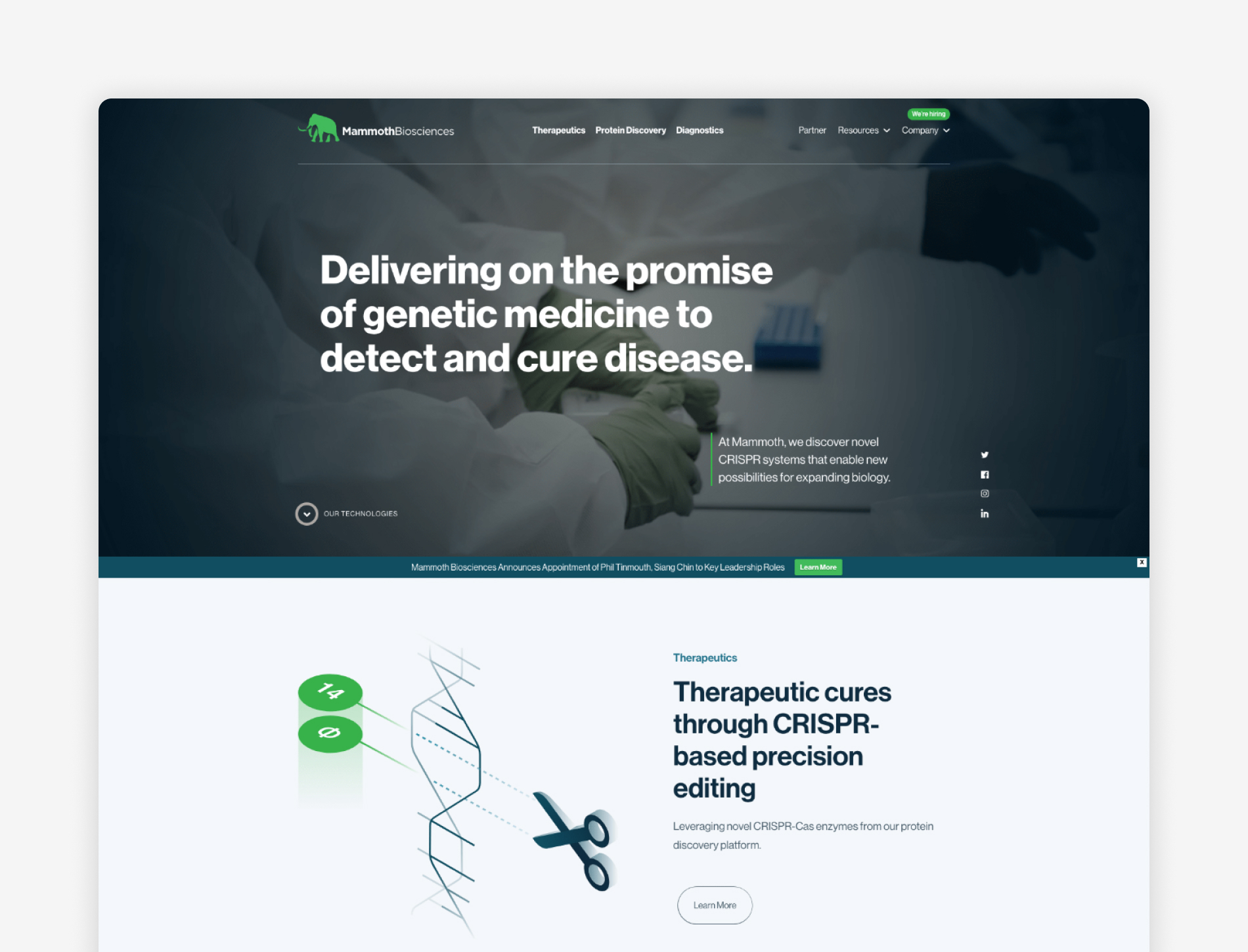 website-design-1